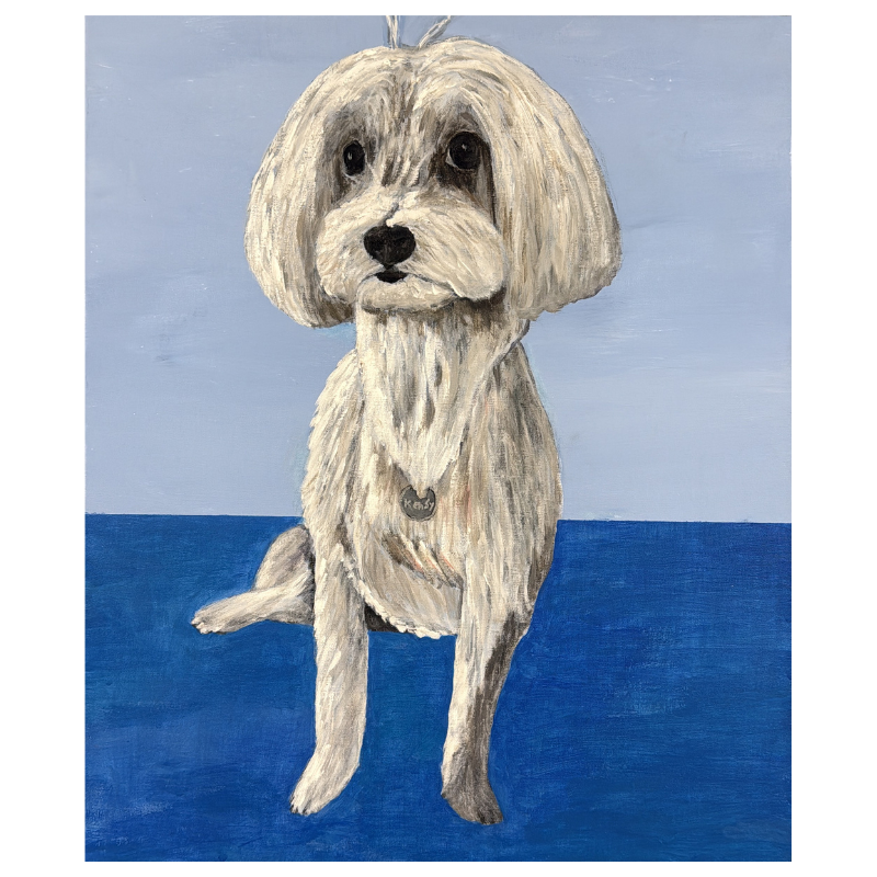 Cuadro PERRO Carlos Altisent 60x50cm